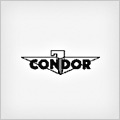 CONDOR logo