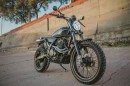 Custom Honda NX650 Dominator