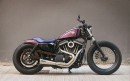 Custom Harley-Davidson Iron 883
