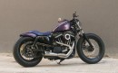 Custom Harley-Davidson Iron 883
