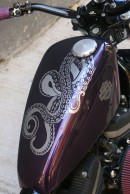 Custom Harley-Davidson Iron 883