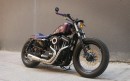 Custom Harley-Davidson Iron 883