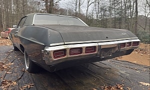 Owner Parked This Chevrolet With a Full Tank of Gas, 36 Years Later, It Started Right Up