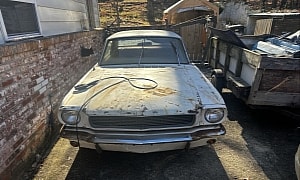 Save This Mustang From Rotting Away in a Yard With the Money You'd Spend on an iPhone