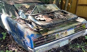 Someone Forgot This 1967 Pontiac GTO in the Bush, How Much Should It Cost?