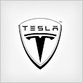 TESLA logo
