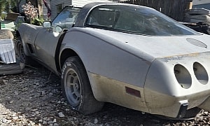 Whatever Happened to This Corvette Is Not Right, Restoration Needed ASAP